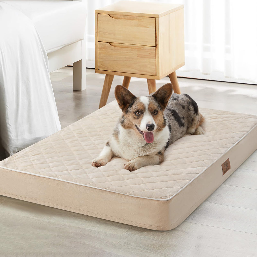 WNPETHOME Cama ortopédica XXL con superficie de terciopelo para descanso cómodo.