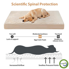 WNPETHOME Cama ortopédica con espuma de alta densidad para apoyo suave.