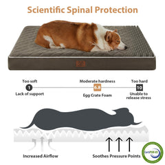 WNPETHOME cama perro con funda lavable para limpieza rápida.