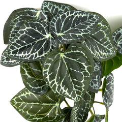 WOLEDOE hojas con venas naturales realzan el realismo del terrario.