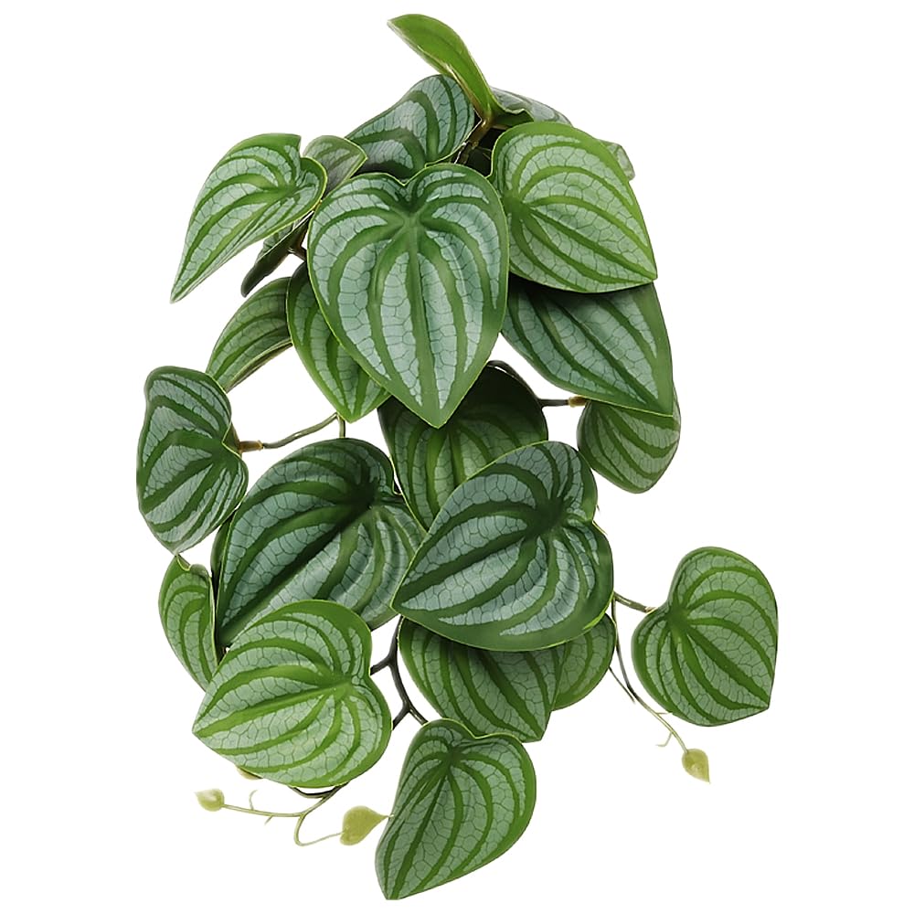 Plantas artificiales WOLEDOE para terrario colgantes, realismo y ocultamiento seguro.