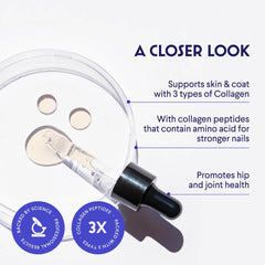 Wonder Paws Collagen para perros, apoya articulaciones y movilidad.