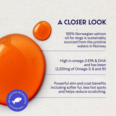 Wonder Paws dosificador de aceite de salmón para perro, dosis diaria fácil