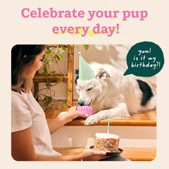 WOOF Party Pupsicle fácil de llenar y limpiar después del juego.