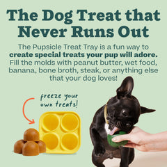 Limpieza rápida: bandeja Woof Pupsicle apta para lavavajillas