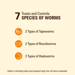 WORM X PLUS contra anquilostomos en perros.