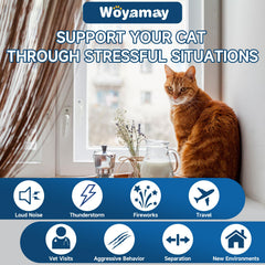 Gato relajado con premio calmante Woyamay, uso diario recomendado.