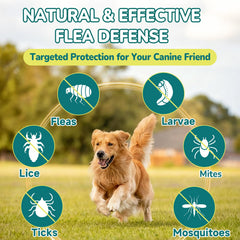 Woyamay ingredientes naturales para una opción diaria segura