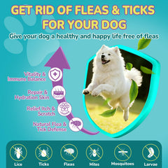 Woyamay masticables sabor pollo, palatables para uso diario en perros.