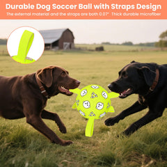 Pelota WYNTRIUM para perros, flotante para uso en agua