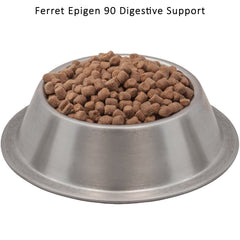 Hurón comiendo Ferret Epigen 90, alimento seco sin almidón para salud digestiva