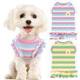 Conjunto XGDMEIL de camisetas rayadas para perro mediano, ideal para paseos en primavera