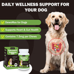 Yakucho lvermect, dosis mensual para mantenimiento del sistema digestivo canino.