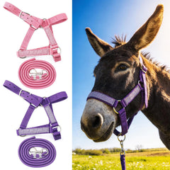 Yeyeplum arnés miniatura rosado con diseño ergonómico para comodidad diaria.