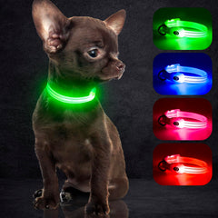Cargador USB rápido para el collar LED YFbrite, práctico para mascotas