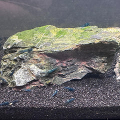 YISZM montaje de acuario con arena negra para ambiente natural