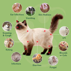 YOTANGO sabor pollo: suplemento líquido apetecible para gatitos y gatos exigentes.