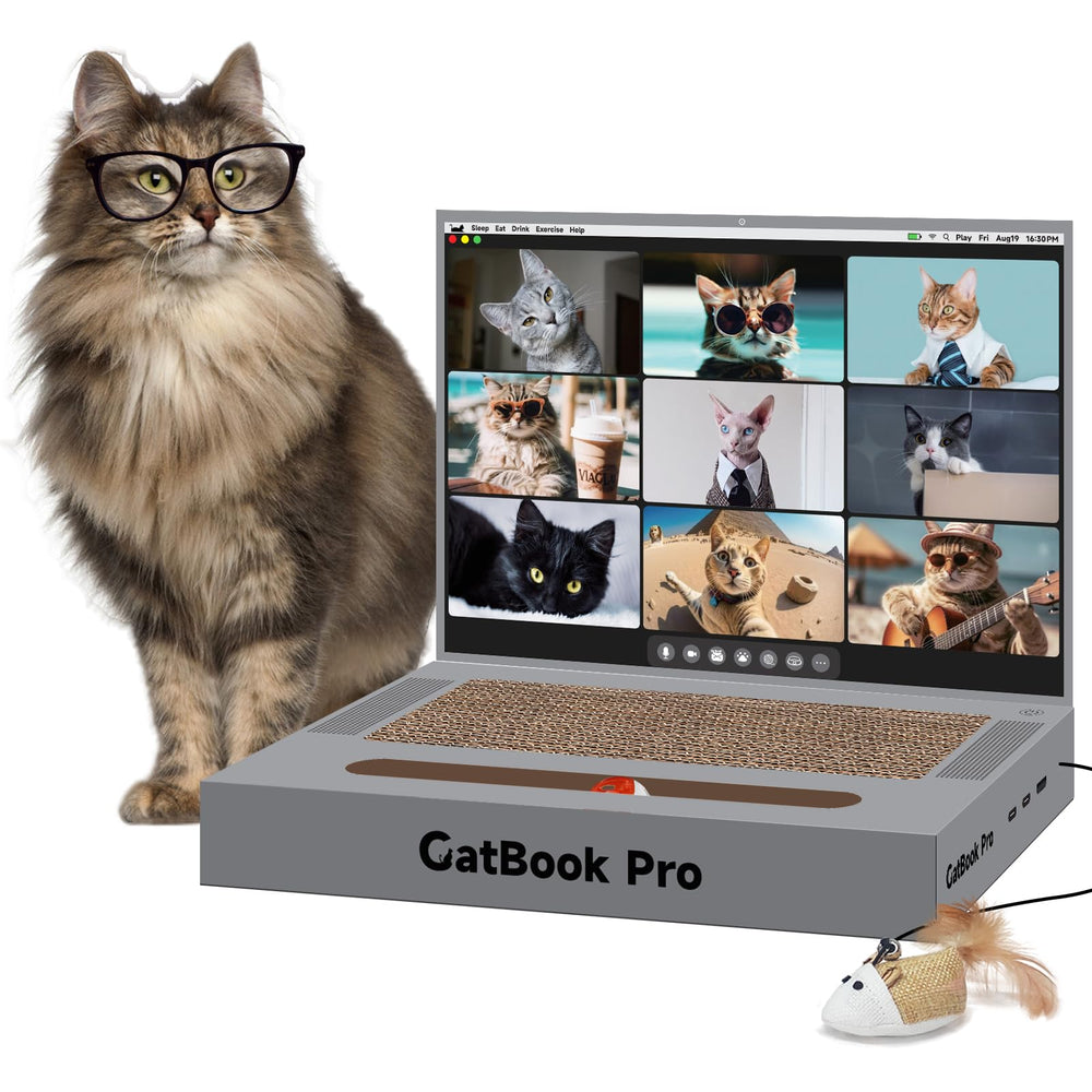 YOUXIFUN portatil-rascador-gato frontal: entretenimiento seguro para felinos.