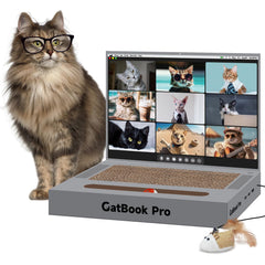 YOUXIFUN portatil-rascador-gato frontal: entretenimiento seguro para felinos.