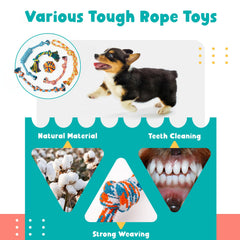 Peluche crujiente Zeaxuie zorro — estimula exploración y sorpresa.