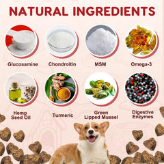 ZEBORA glucosamina para perros, mejora potencial de movilidad diaria