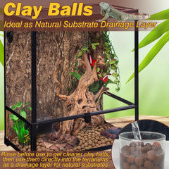 Bolas ZeeDix arcilla expandida para plantas, crecimiento equilibrado.