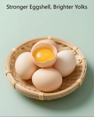 Larvas BSF de ZenithWorks, proteína alta para complementar la dieta de las aves.