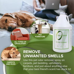 Zero Odor: elimina olores de alfombras con eficacia sostenible
