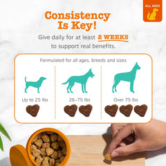 Zesty Paws Calming Chews perro-relajado: muestra a tu compañero más sereno durante el día
