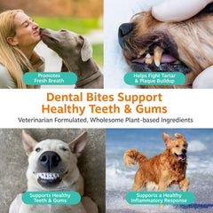Zesty Paws Clean Breath con menta para aliento más agradable
