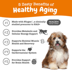 Zesty Paws Niagen 60 mg, cápsula para perros, energiza las células.