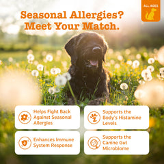 Zesty Paws probióticos digestivos para perros, apoyan la flora intestinal y la salud general.