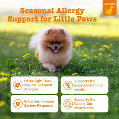 Zesty Paws Probióticos para perro: soporte digestivo estable.