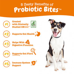 Zesty Paws Probióticos: flora intestinal equilibrada para perros.