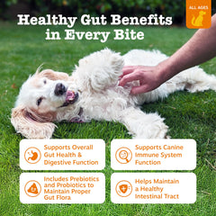 Zesty Paws Probióticos: enzimas digestivas en cada porción para perros.