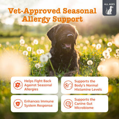 Zesty Paws Vet Strength probióticos para perros, salud intestinal y vitalidad diaria
