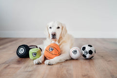 ZippyPaws SportsBallz parche de liga exterior para motivar fantasía deportiva.