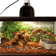 Zoo Med Repti Bark: textura natural, ideal para terrarios con alta humedad.