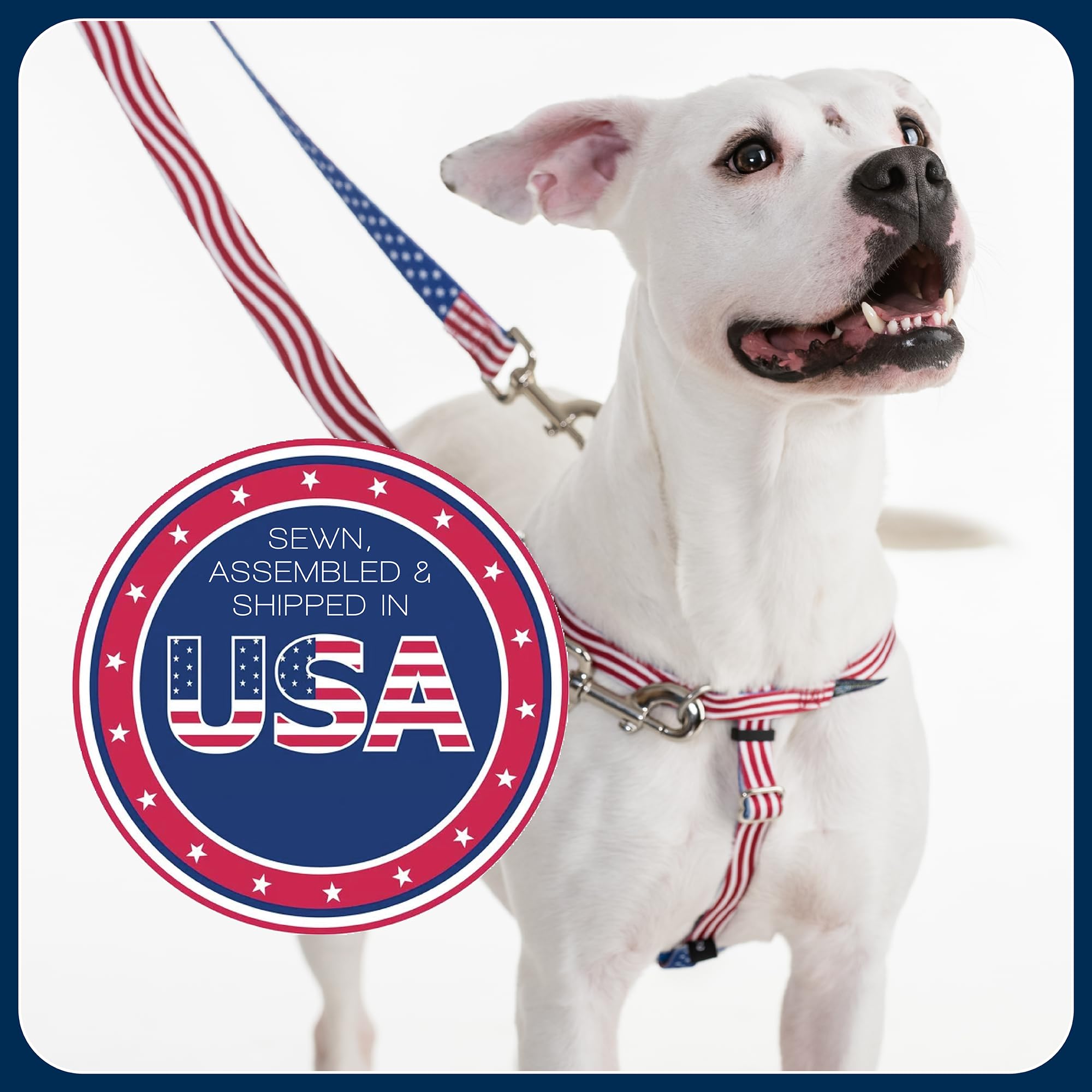 Arnés hecho en Estados Unidos con hardware de acero inoxidable.