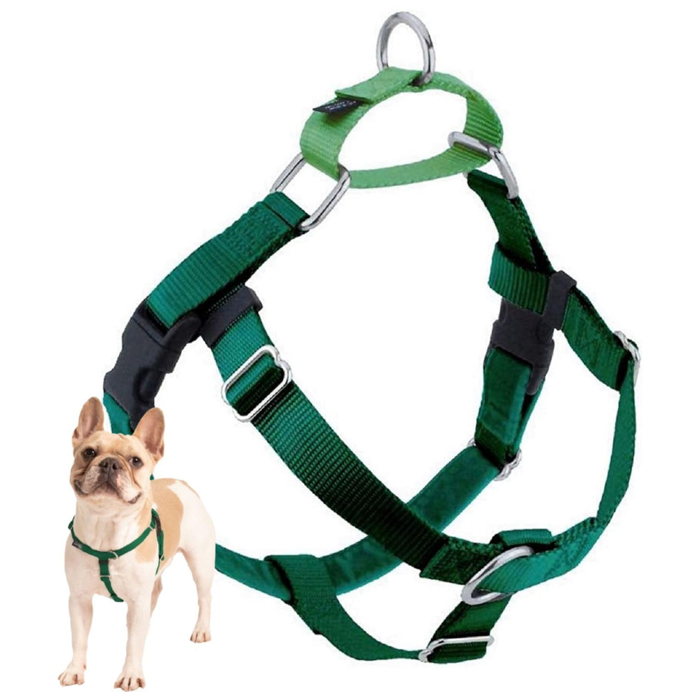 Arnés Freedom No Pull de 2 Hounds Design en verde Kelly, ideal para paseos cómodos.