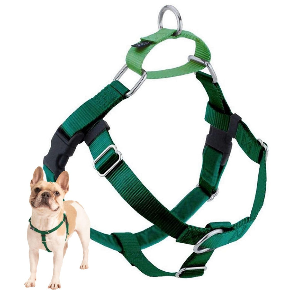 Arnés Freedom No Pull de 2 Hounds Design en verde Kelly, ideal para paseos cómodos.