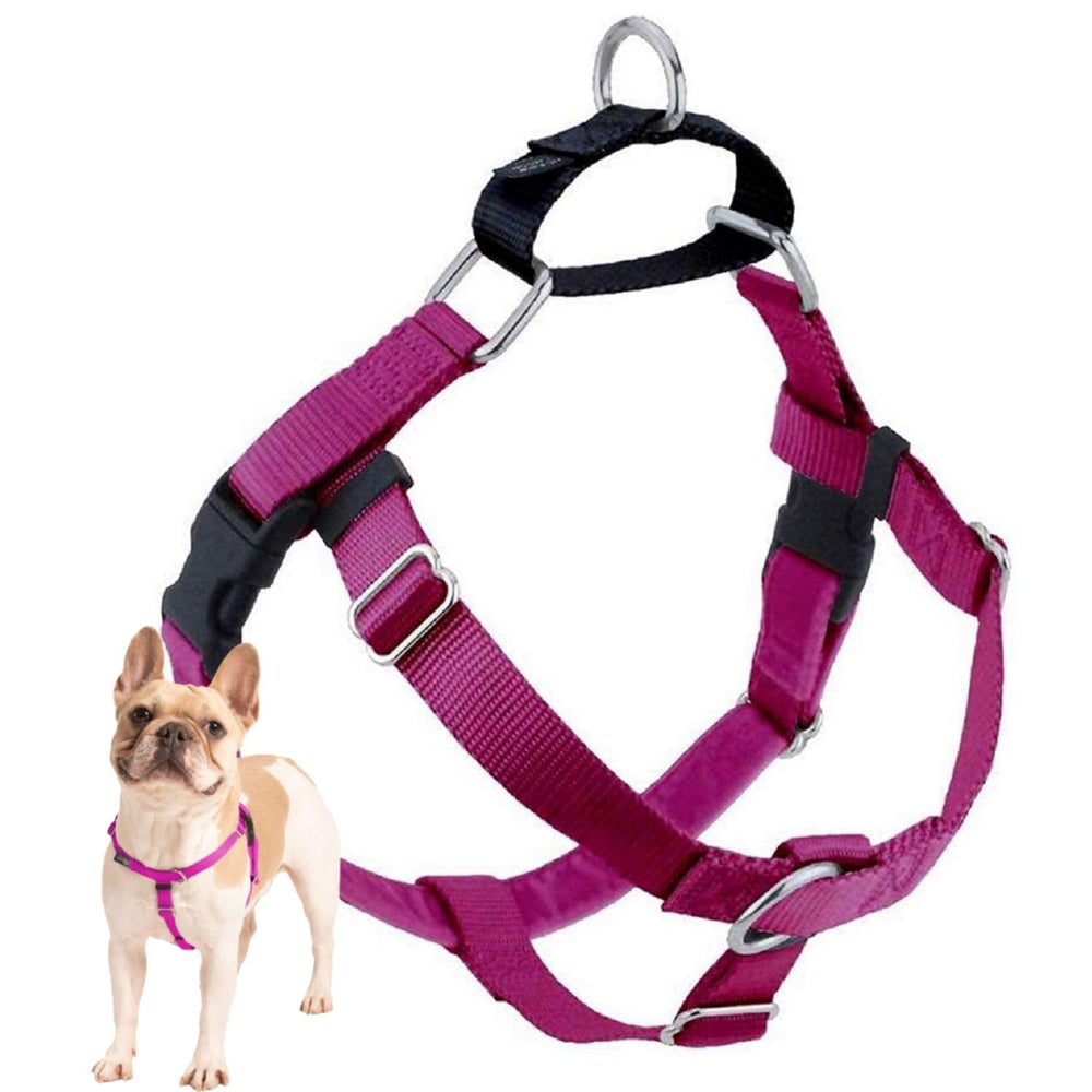 Arnés Freedom de 2 Hounds Design en color frambuesa para paseos más cómodos