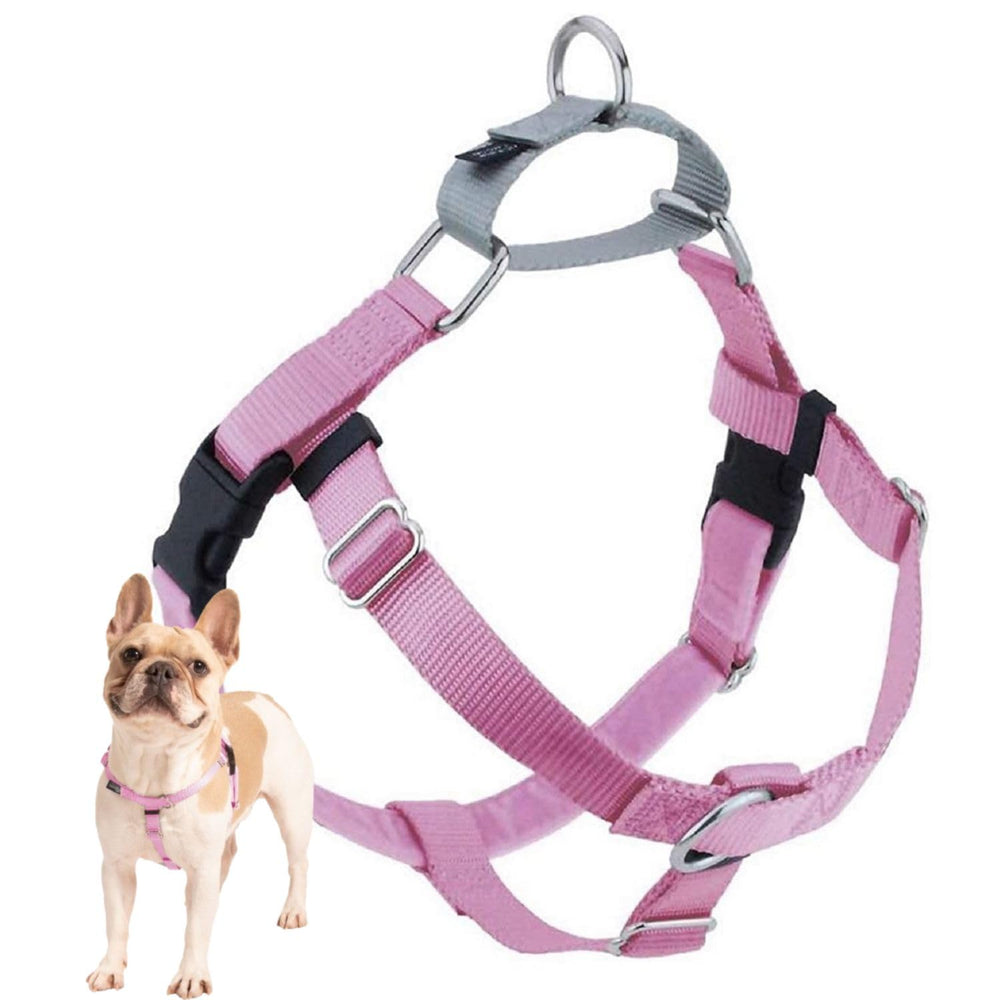 Arnés libertad de 2 Hounds Design para paseos más tranquilos.