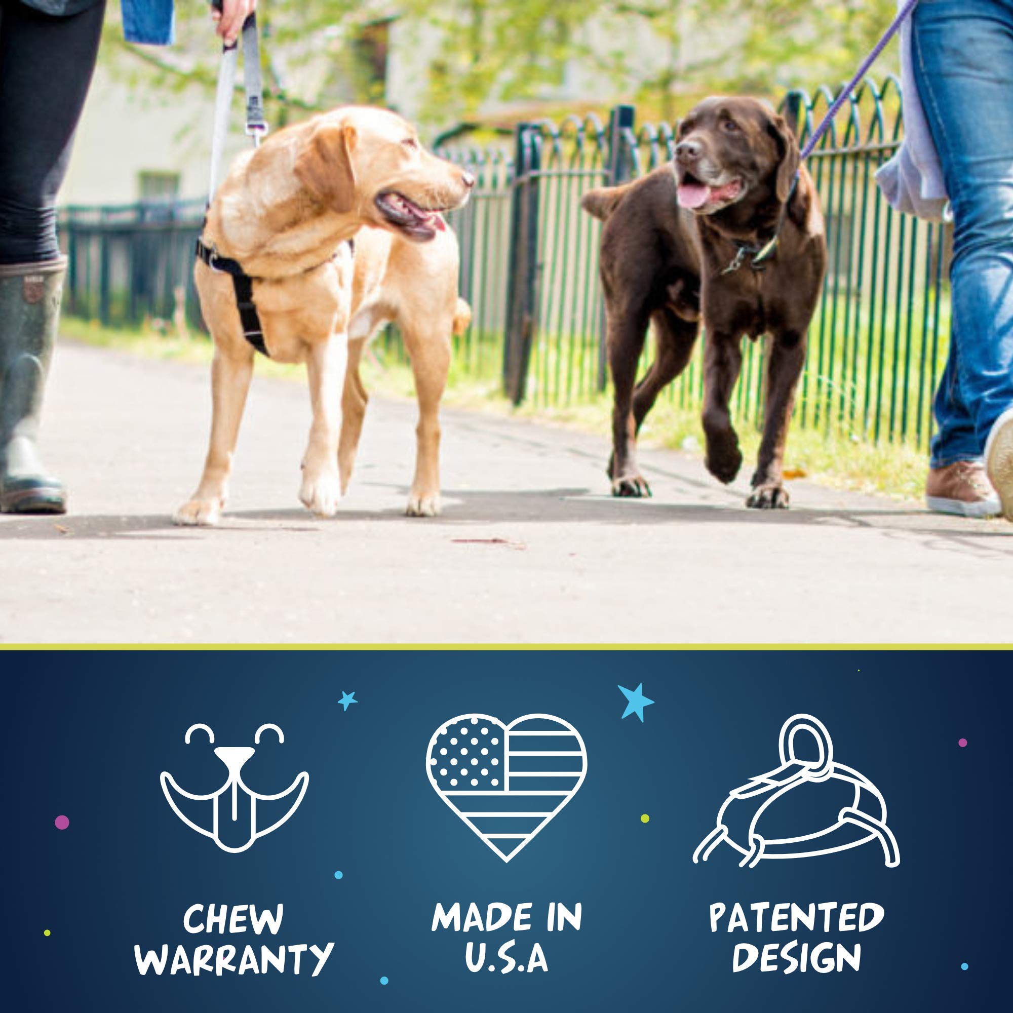 Freedom de 2 Hounds Design con forro de terciopelo suave para comodidad diaria