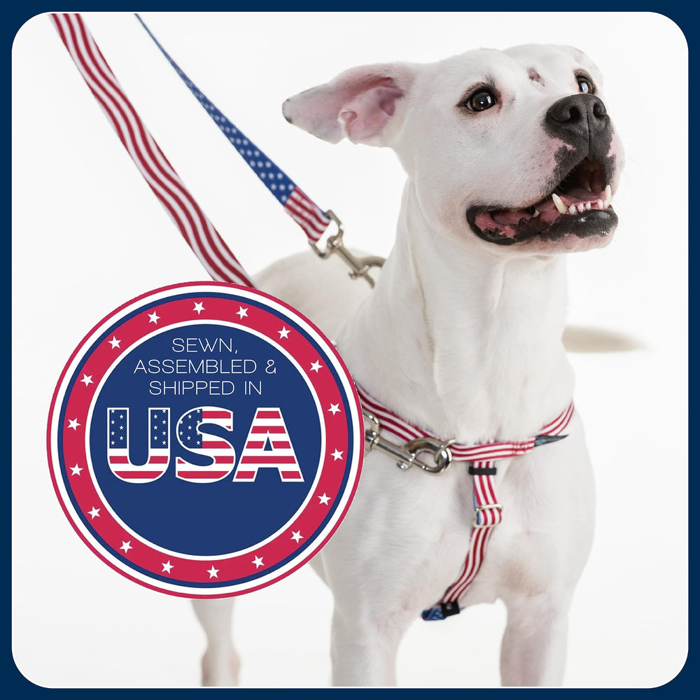 Arnés ajustable para perros de diferentes tamaños con 2 Hounds Design.