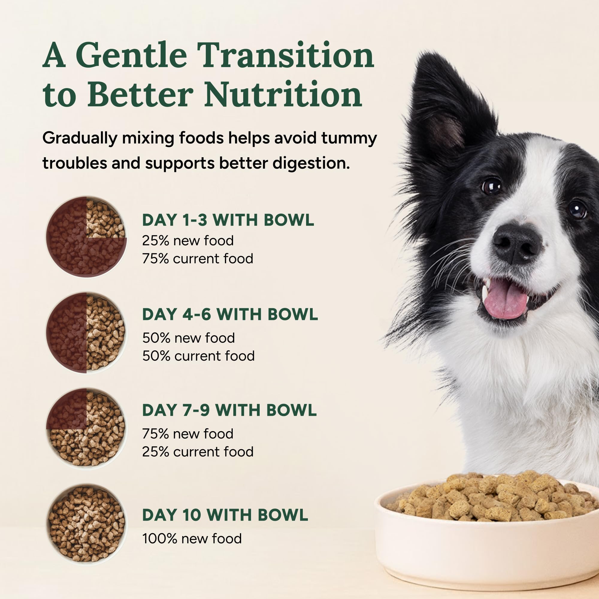 Hecho en Estados Unidos con control de calidad de 360 Pet Nutrition.