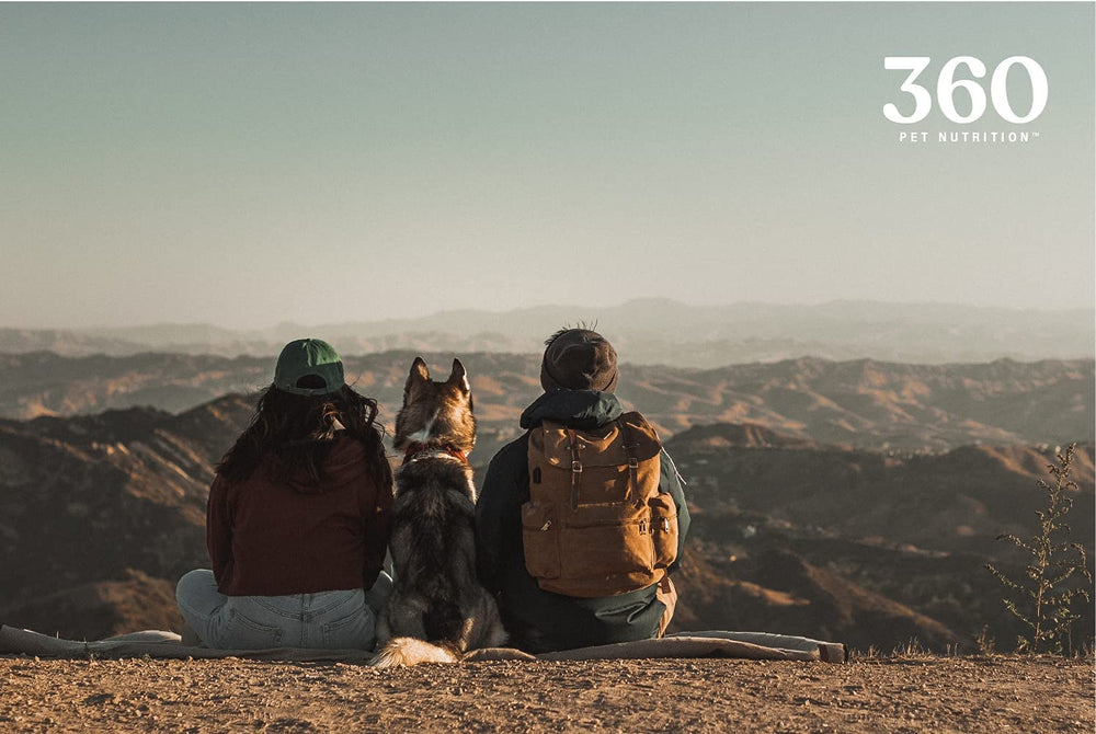 360 Pet Nutrition hígado de bisonte liofilizado, premio delicioso sin aditivos.