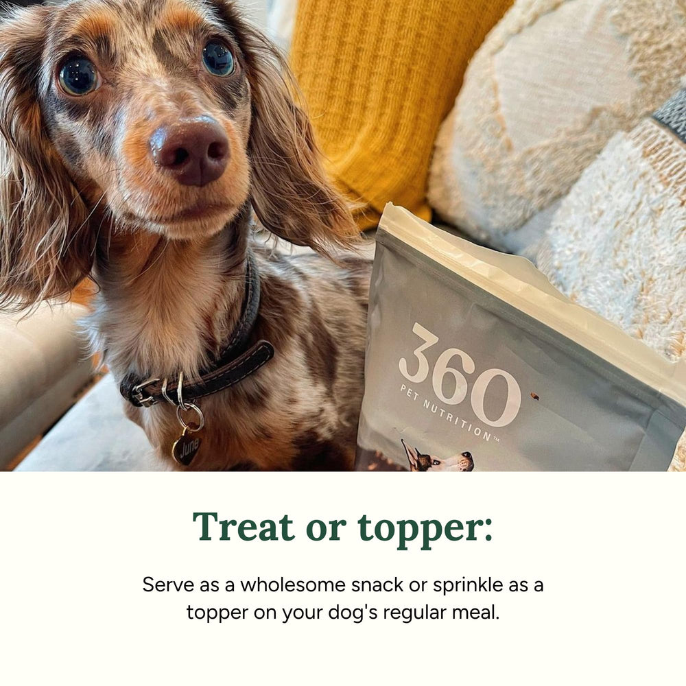 360 Pet Nutrition: textura cercana del hígado liofilizado, snack sabroso y alto en proteína.