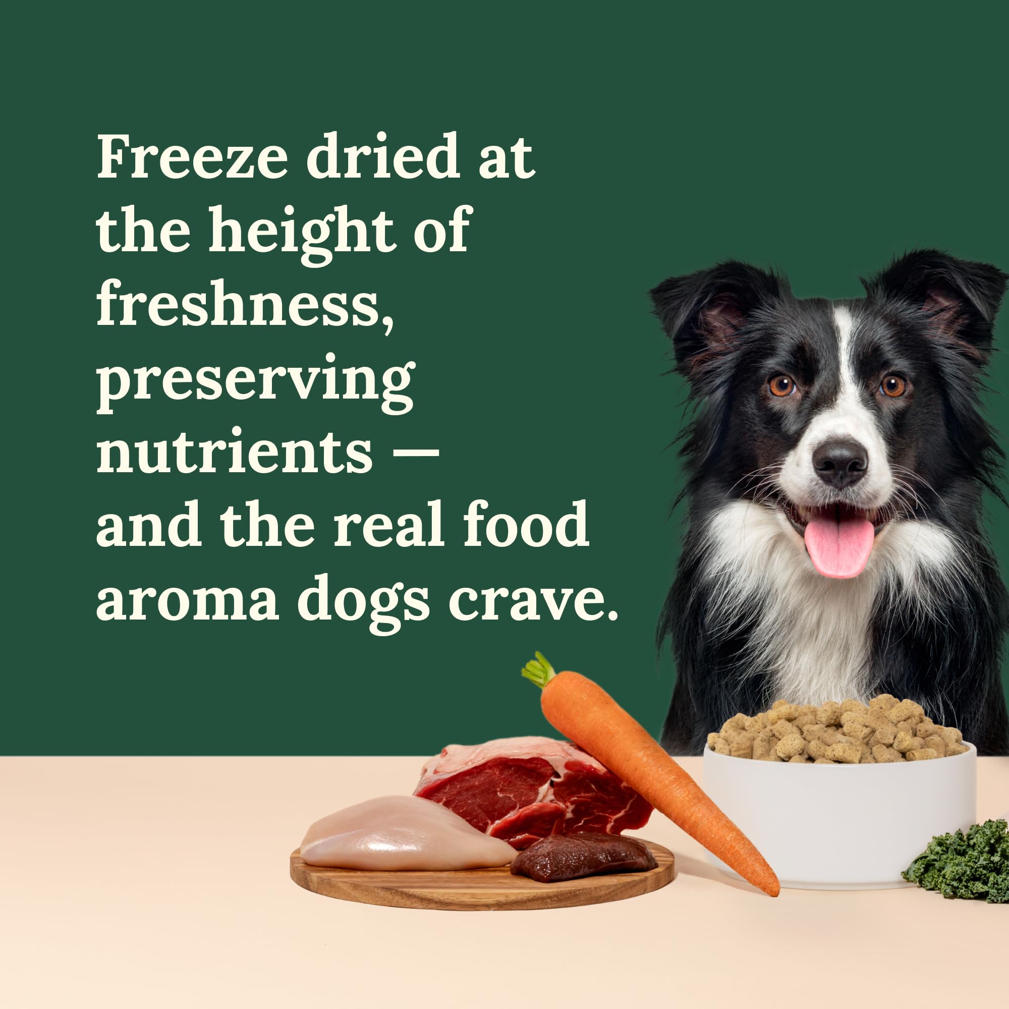 360 Pet Nutrition fórmula sin granos ni rellenos para perros sensibles