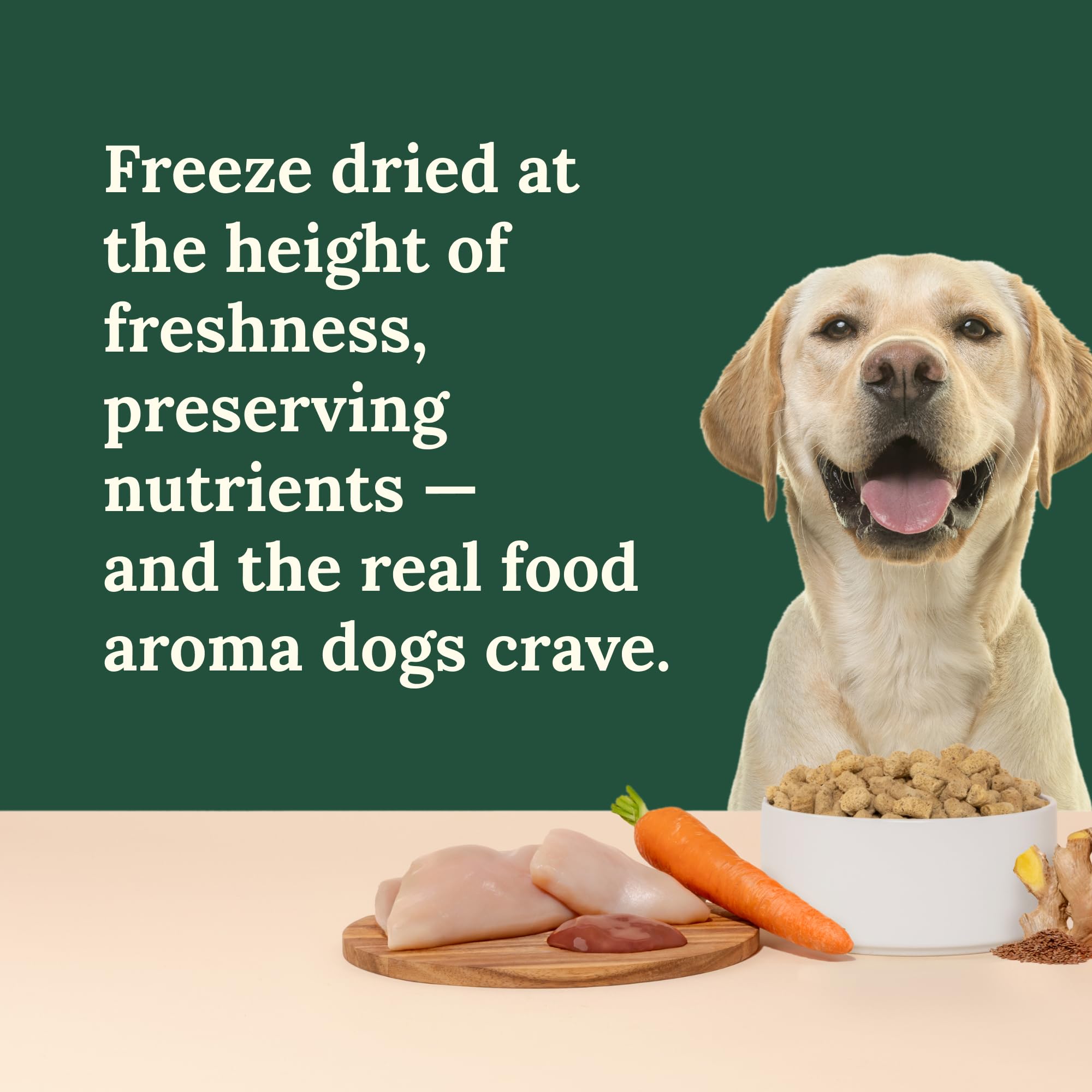 360 Pet Nutrition sin granos para perros con sensibilidad alimentaria.